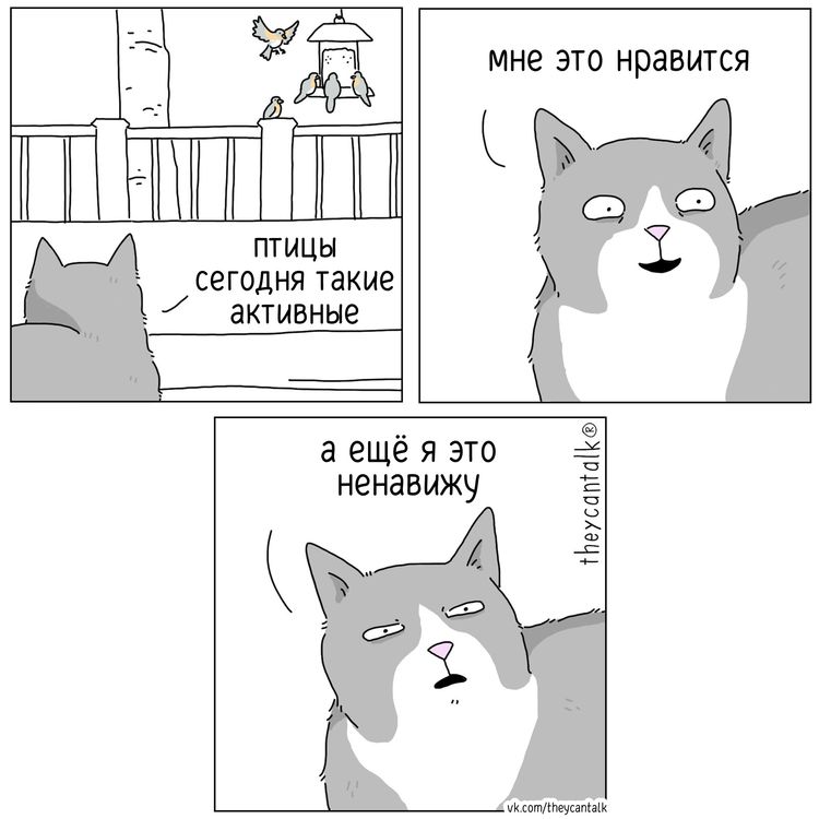 image-20260625154120-15