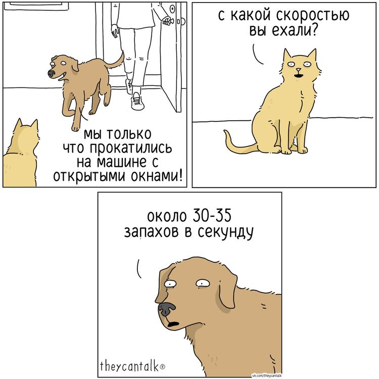 image-20260625154130-18
