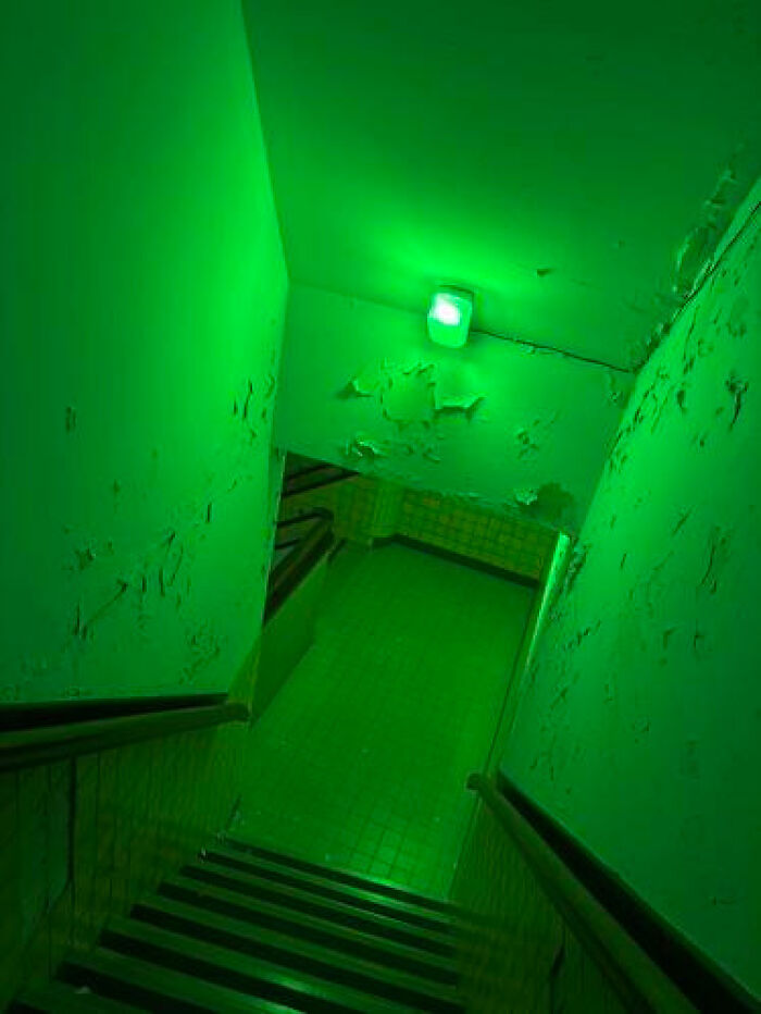 image-20260629235015-3