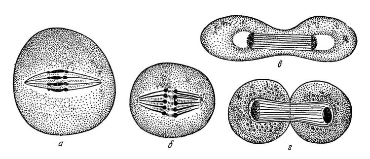 image-20260724190727-12
