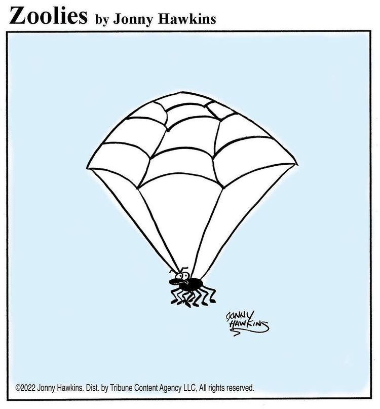 image-20260729114911-15
