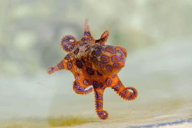 image-20260827173431-6