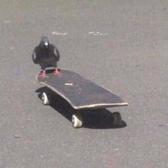 image-20260915123759-7