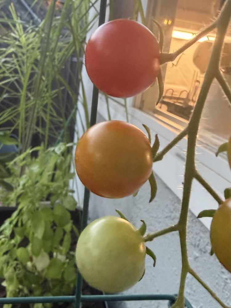 image-20260916154129-8