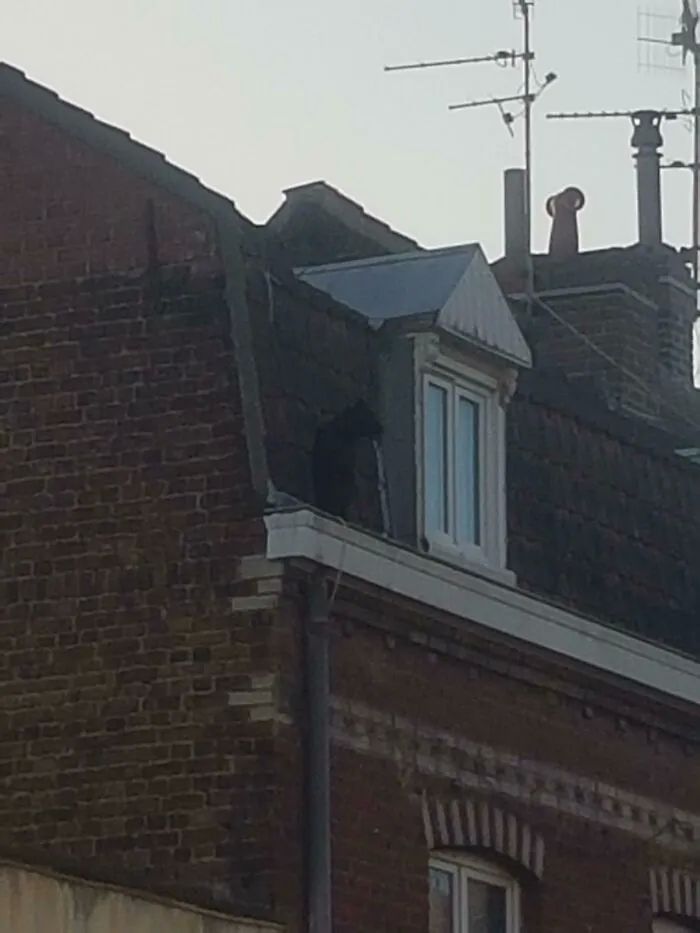image-20260924154851-6