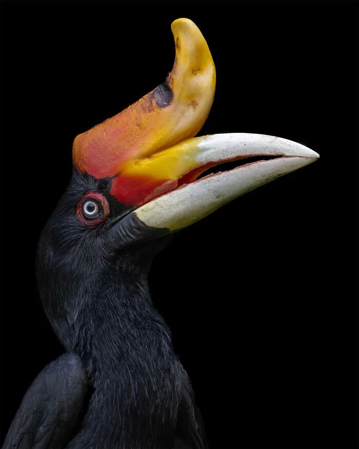 image-20260928153758-6
