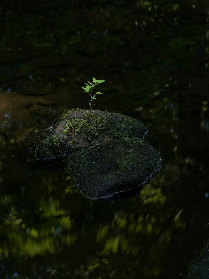 image-20260928153928-11