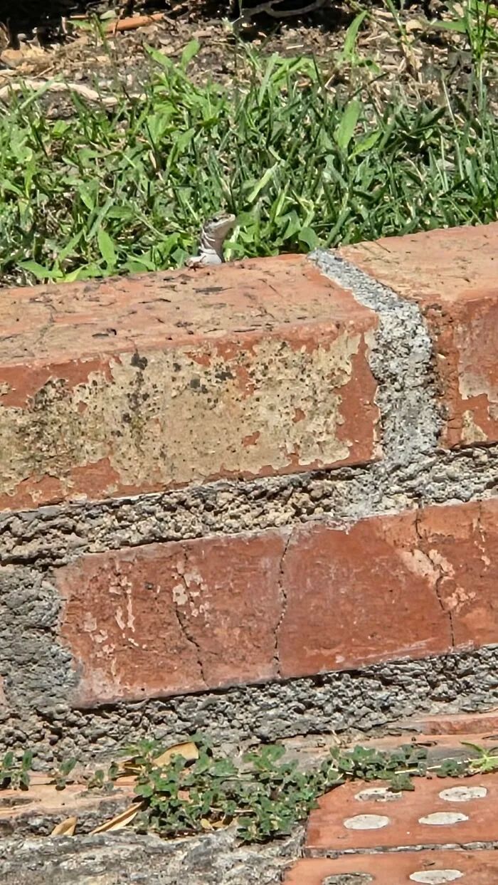 image-20260930144944-13