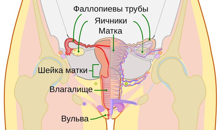 image-20261006153532-12