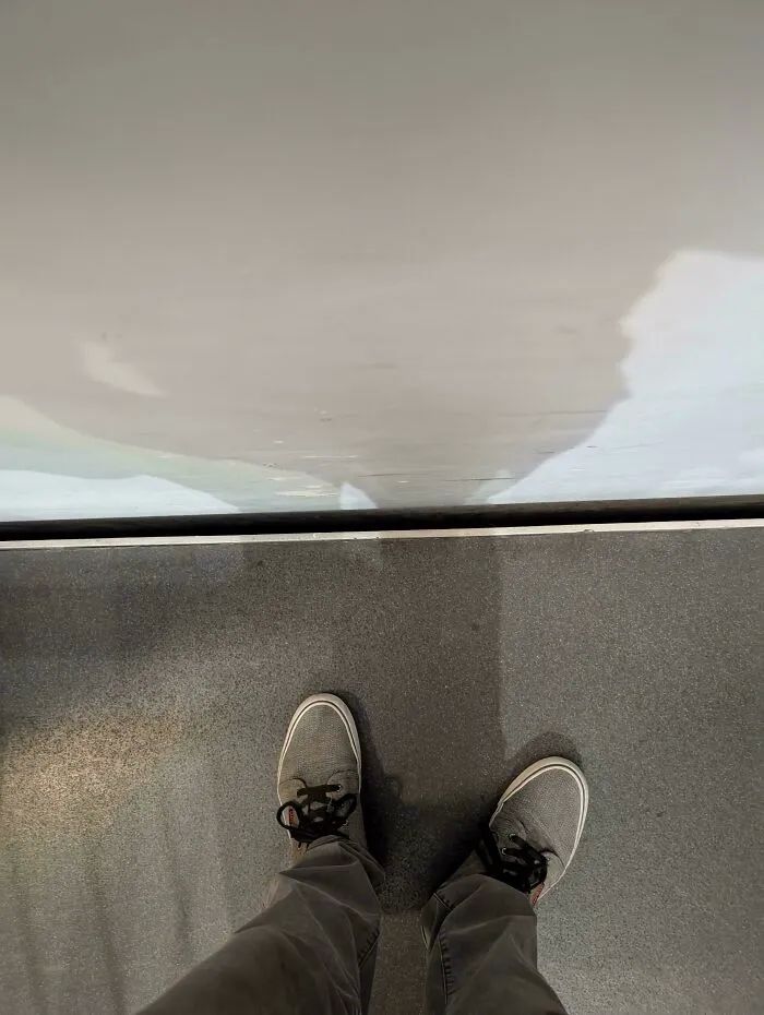 image-20261007170024-8
