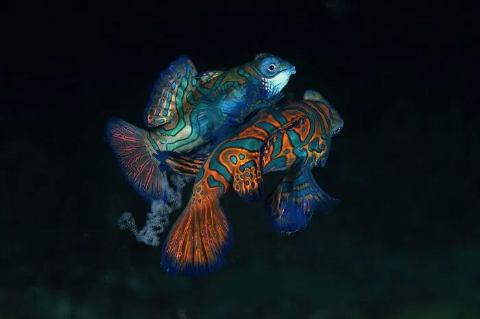 image-20261019164619-9