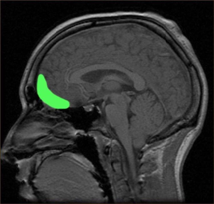 image-20261019173140-10