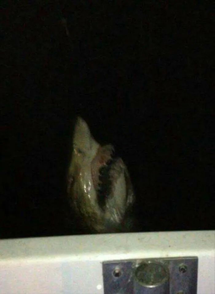 image-20261020151336-9
