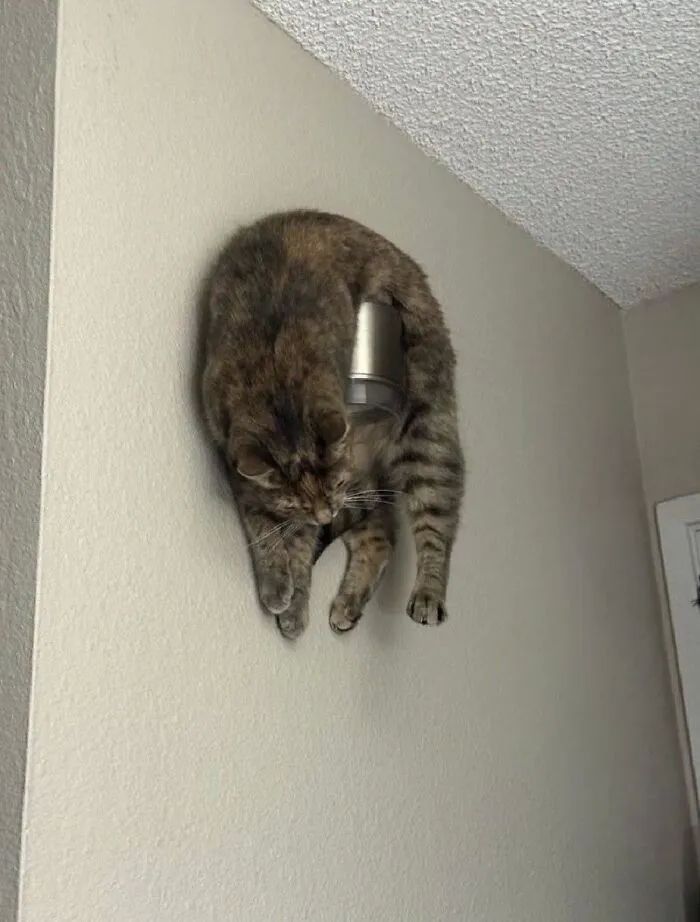 image-20261022132542-9