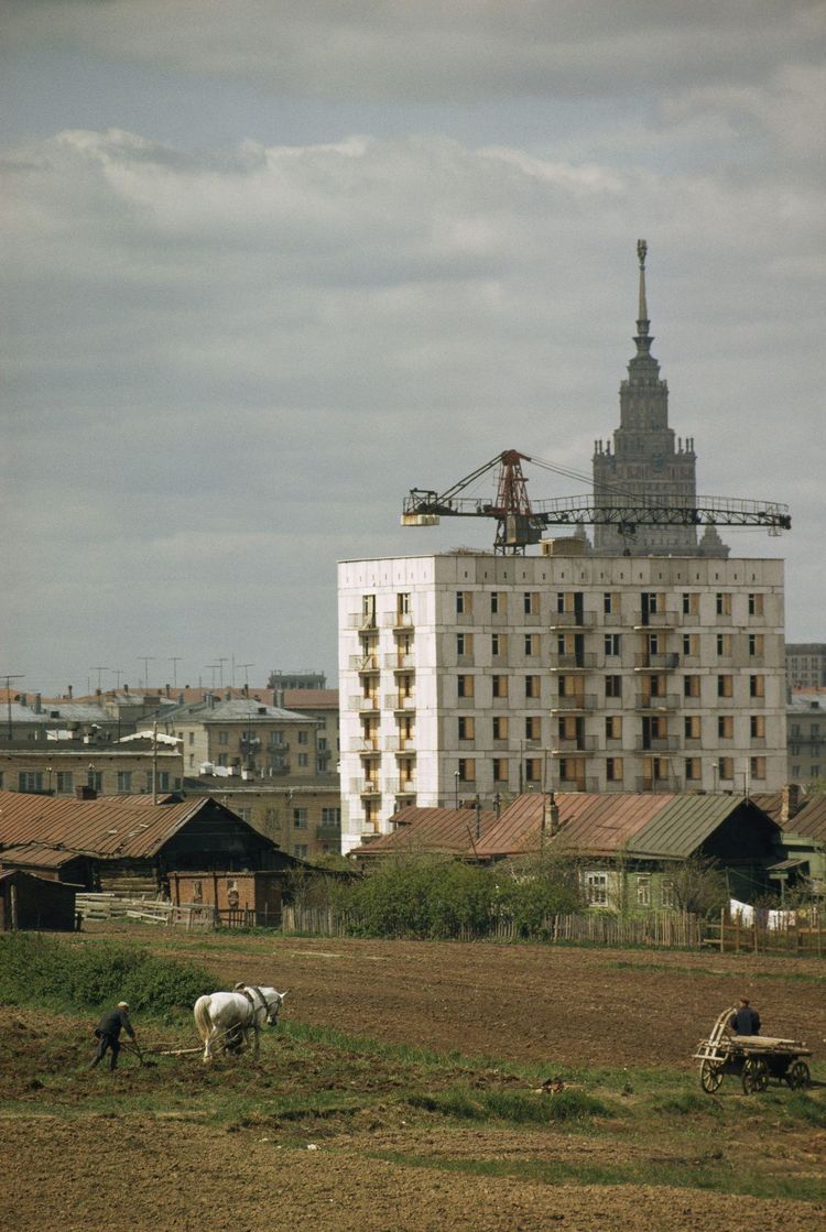 москва 1964 год