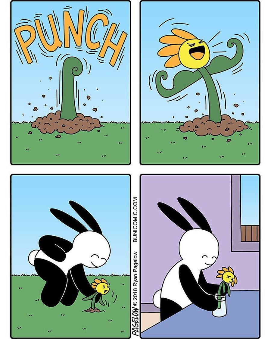 29400798 2049445428632414 2898667951987097600 n