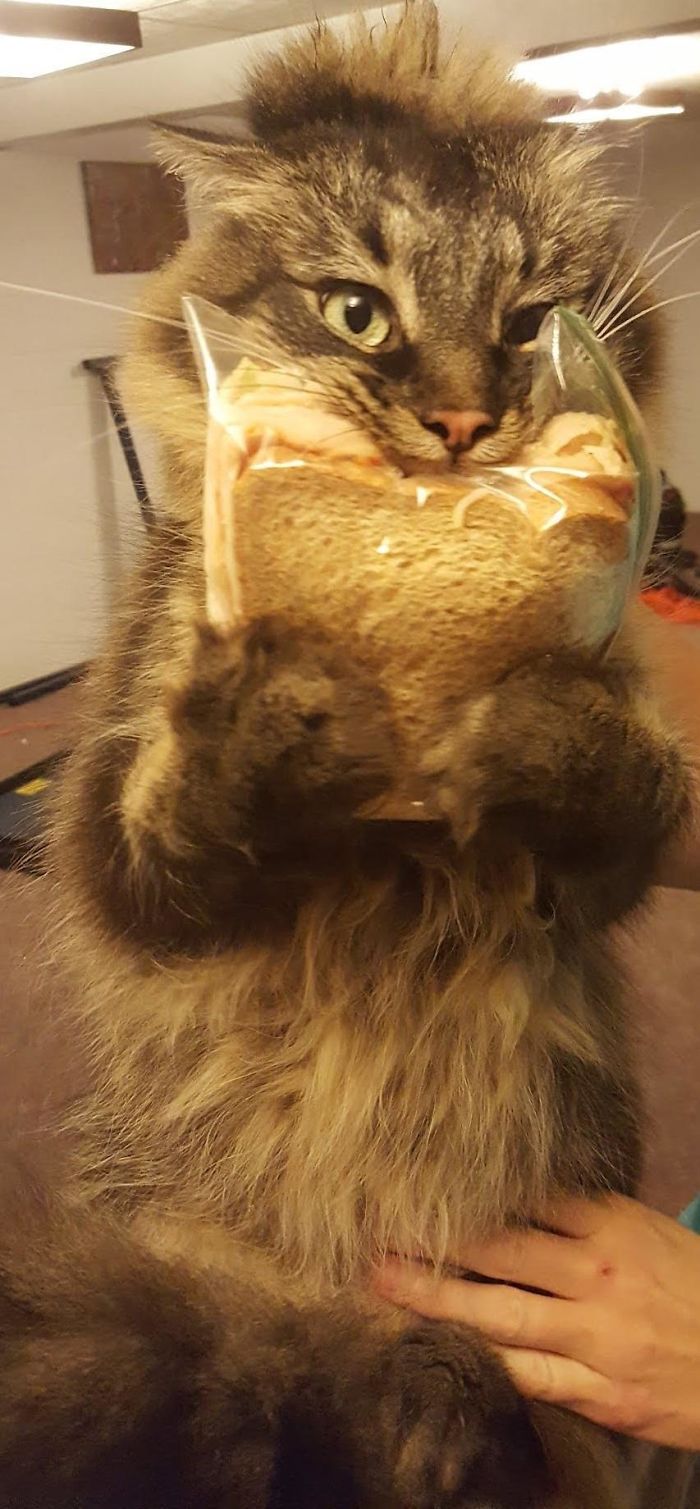 5f451efb05dc6 ic9e0qxd2zq11  700