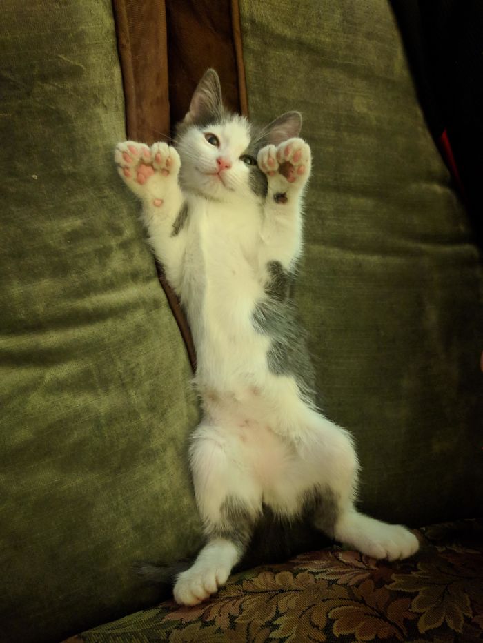 5f7b20e1eb291 7ovxcler4e811 700