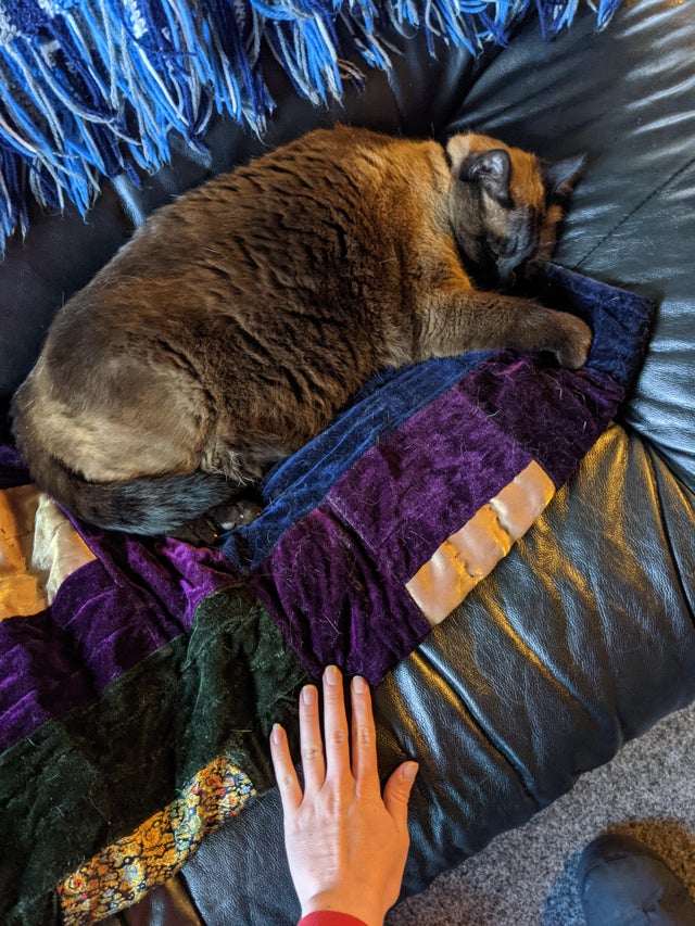 18 привычных вещей, которые оказались неожиданно большими, удивив ...