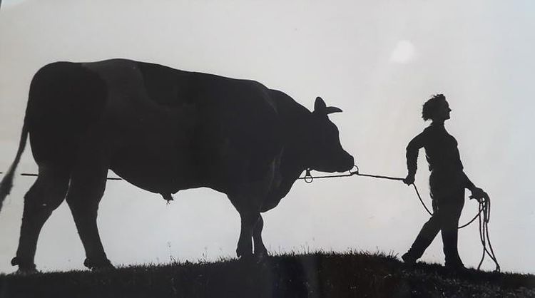 20+ ретро-снимков с просторов России, на которых запечатлено всё, что ...