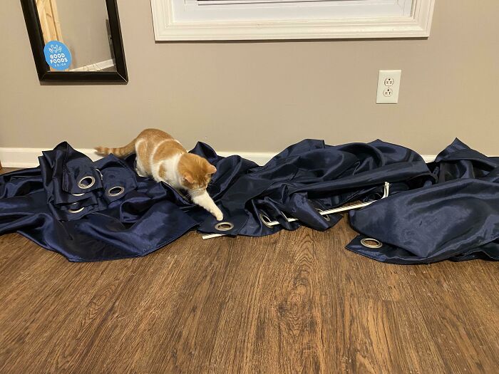 6037435a9ab27 w5uuh3rpefi61 700