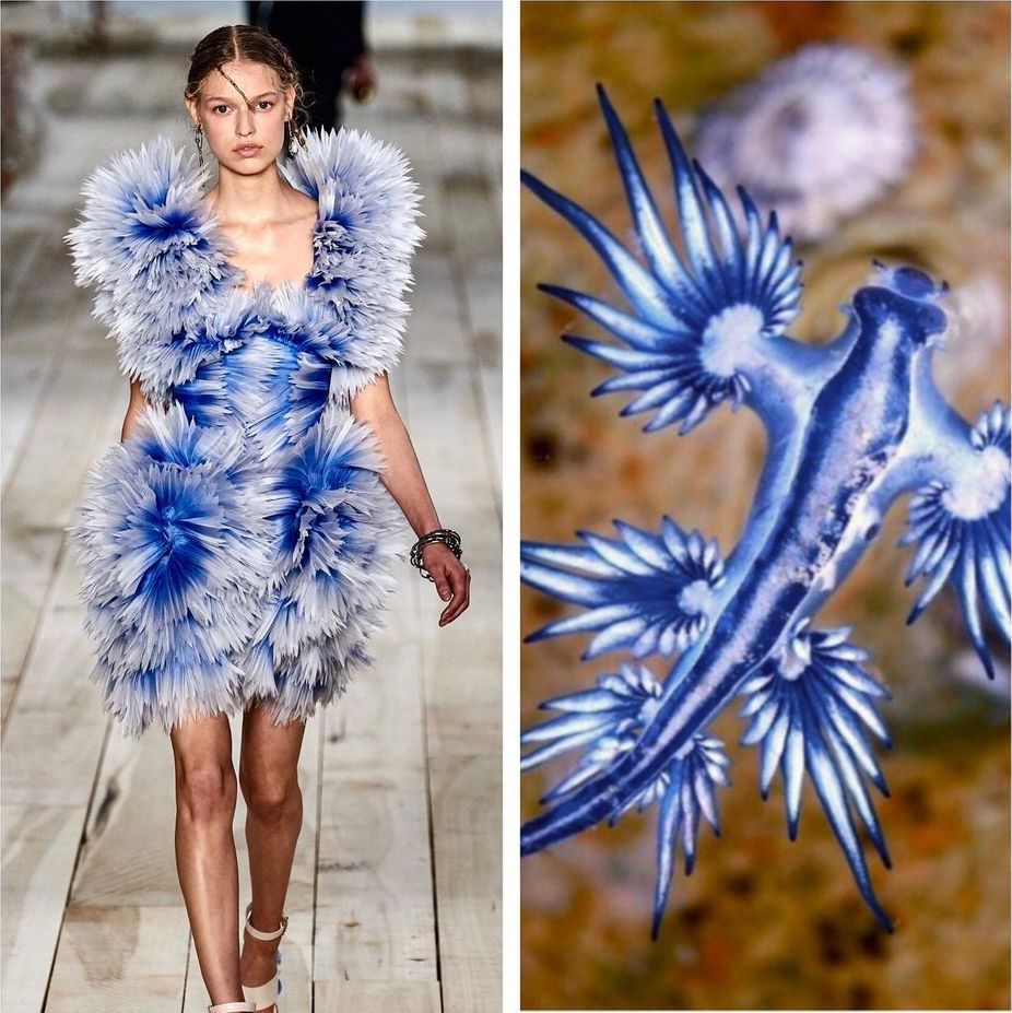 85148737 679066552937977 2748370030929294562 n