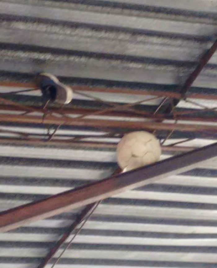 20 людей с настолько неудачными днями, что, глядя на них, так и хочется ...