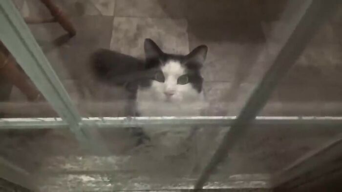 9-5fad56b06c098  700 0