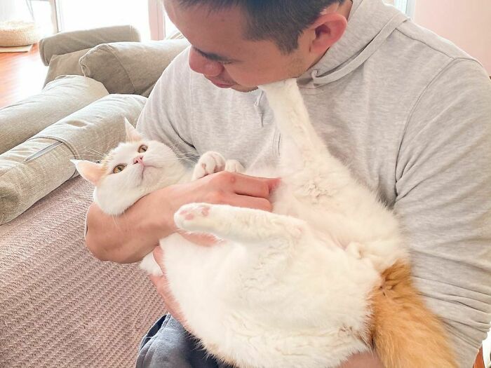 B8 baGphQUc-png  700