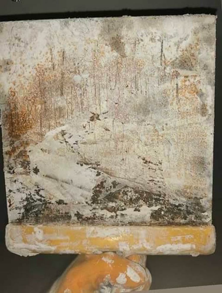 s-90868b70e7f1fa82243bce8c93fbdb6f4c1995c6