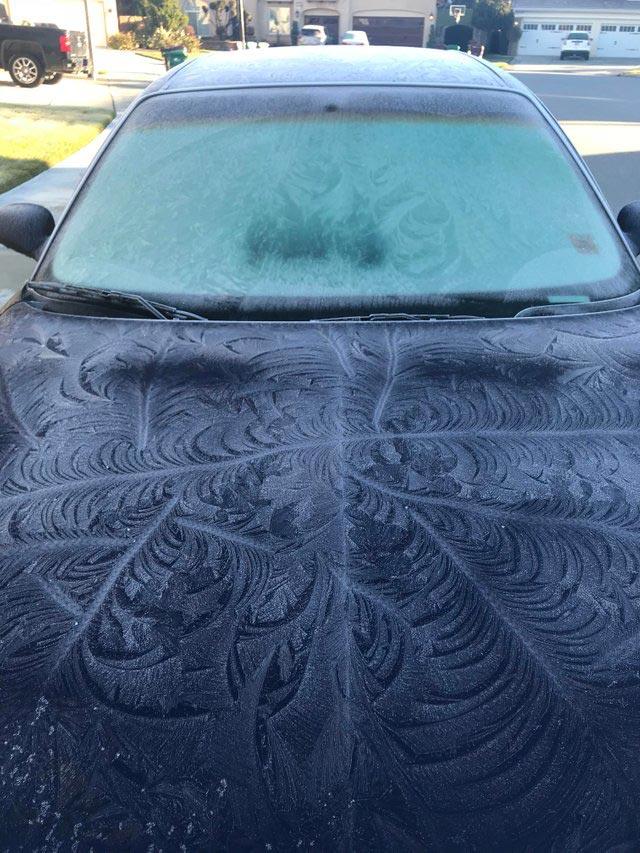 20 удивительных вещей, которых вы раньше никогда не видели удивительные вещи, вещи которых вы раньше никогда не видели