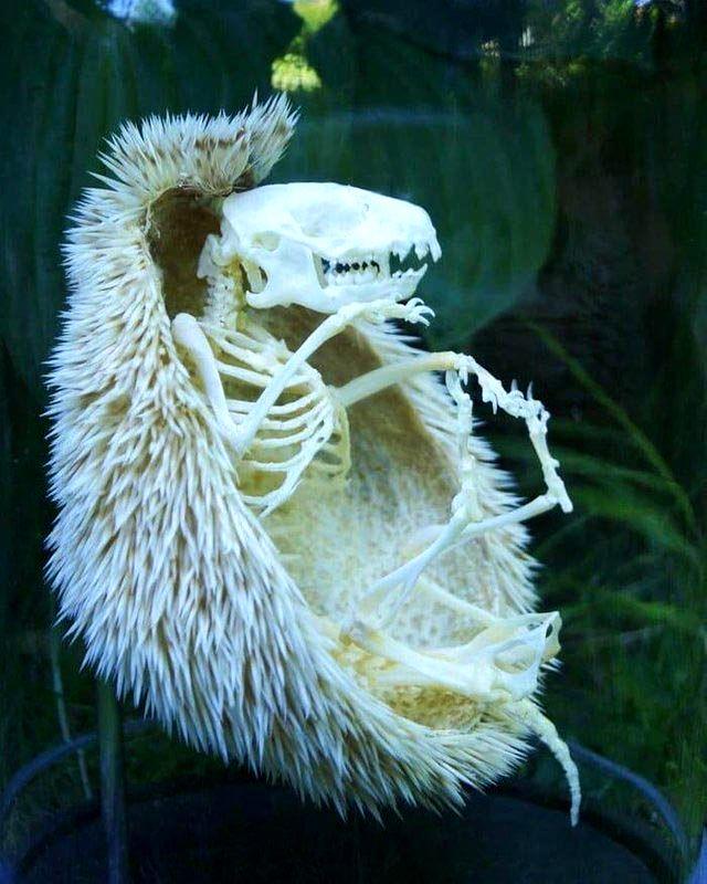 25 природных фотографий, которые заставят вас ахнуть и открыть рот от удивления природные фотографии, удивительные фотографии,