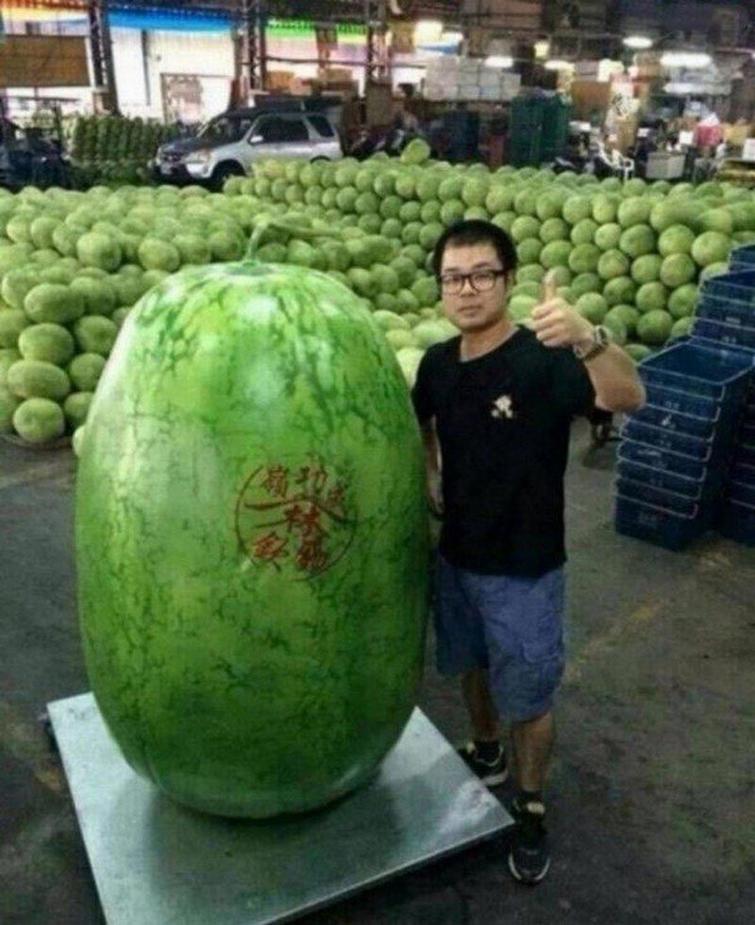 неожиданно большие вещи, оказались внезапно большими, внезапно большие вещи, вещи огромного размера