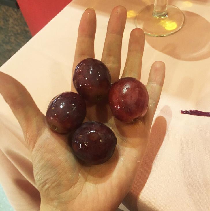 вещи растения и животные которые выглядят странно, Природа да что с тобой нет так