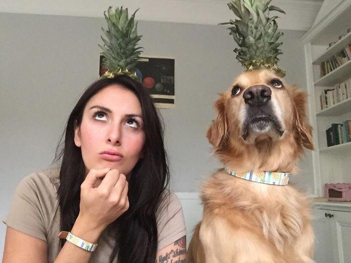 Девушка одержима своей собакой по кличке Хьюго,  Урсула Дафни Эйтчисон, Ursula Daphne Aitchison, ретривер Хьюго