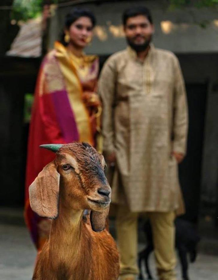 то-то пошло не так, смешные фотографии 