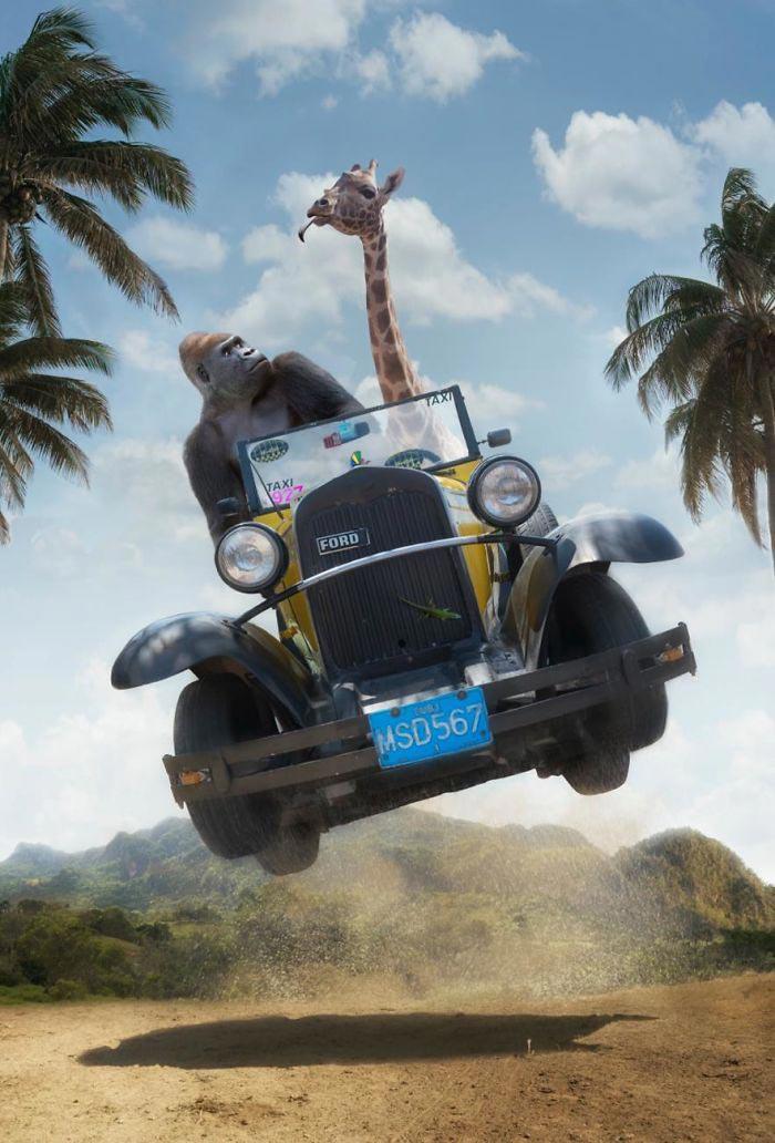 Художник показывает тайную жизнь диких животных,  Томас Субтиль, Thomas Subtil