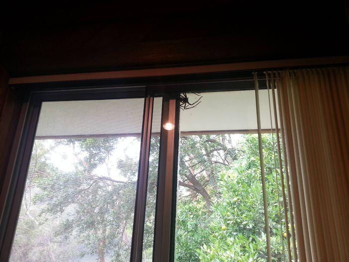 люди у которых было самое худшее Рождество в их жизни, Рождество всё пошло не так