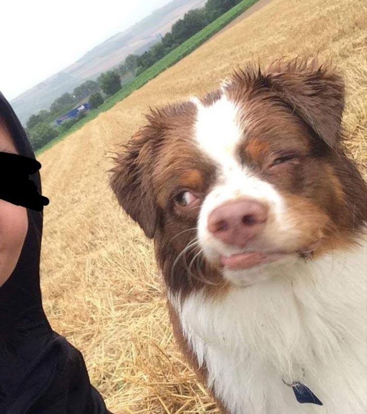 то-то пошло не так, смешные фотографии 