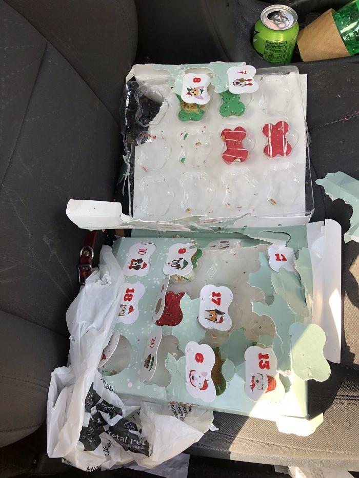 люди у которых было самое худшее Рождество в их жизни, Рождество всё пошло не так