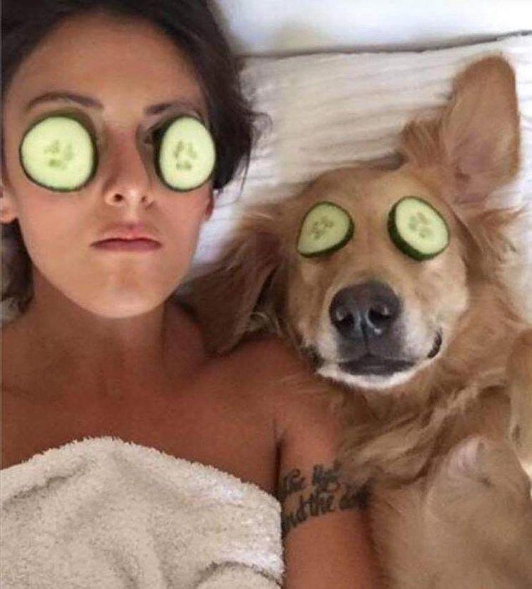 Девушка одержима своей собакой по кличке Хьюго,  Урсула Дафни Эйтчисон, Ursula Daphne Aitchison, ретривер Хьюго