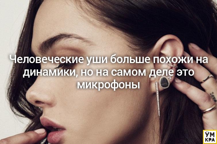 умные мысли, остроумные мысли, мысли в картинках, мудрые мысли