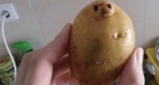 25 раз, когда люди видели лица и другие предметы в самых неожиданных местах люди видели лица и другие предметы в самых неожиданных местах, Парейдолия