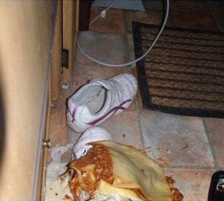 25 людей, попавших в настолько несуразные ситуации, что даже вам станет стыдно люди за которы стыдно, стыдно за людей, люди в смешных ситуация, несуразные ситуации