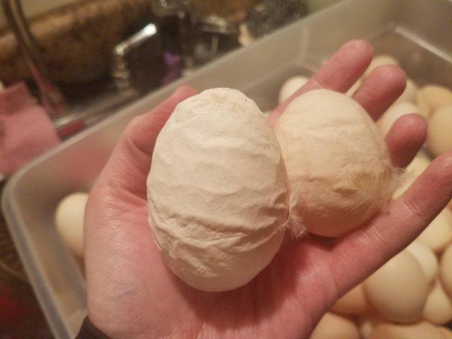 25 странных яиц, которые наверняка удивили даже птиц, которые их снесли странные яйца, странные яйца которые удивили птиц которые их снесли