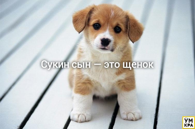 умные мысли, остроумные мысли, мысли в картинках, мудрые мысли