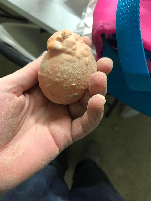 25 странных яиц, которые наверняка удивили даже птиц, которые их снесли странные яйца, странные яйца которые удивили птиц которые их снесли