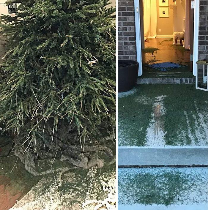 люди у которых было самое худшее Рождество в их жизни, Рождество всё пошло не так