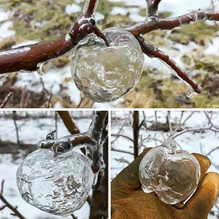 20 удивительных вещей, которых вы раньше никогда не видели удивительные вещи, вещи которых вы раньше никогда не видели