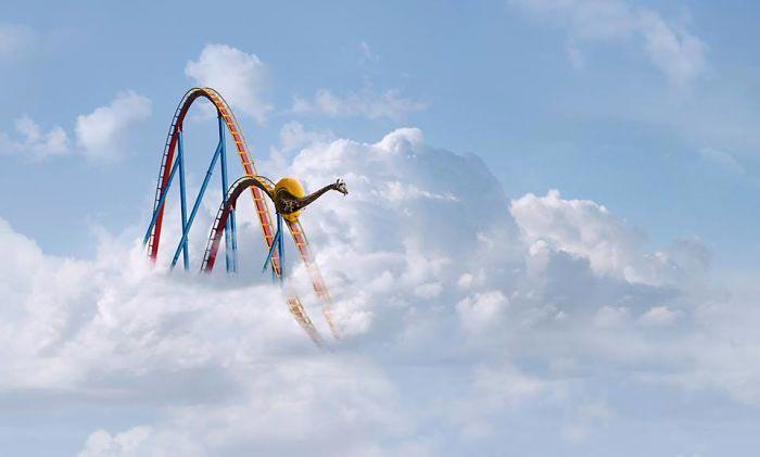 Художник показывает тайную жизнь диких животных,  Томас Субтиль, Thomas Subtil